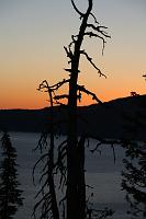 IMG_3766 tree at sunrise artsy good crater lake